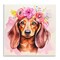 Stupell Industries Boho Wiener Dog Dachshund Wall Plaque Design By Andrea Haase